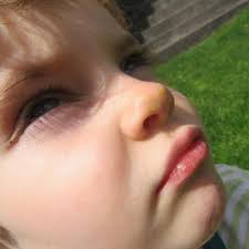 ralphbean (Ralph Bean) · GitHub