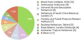 Image result for Tarenna junodii