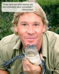 Motley Arabesque Het Albino Boa Constrictor by Nixon Reptiles