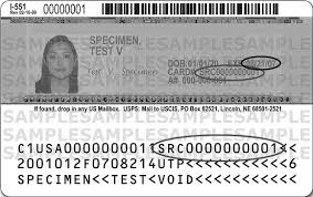 Citizenship and imigration services (uscis) tracks your case with this number to identify you. Https Foundcom Org Wp Content Uploads 2015 01 Where To Find Immigration Document Numbers Pdf