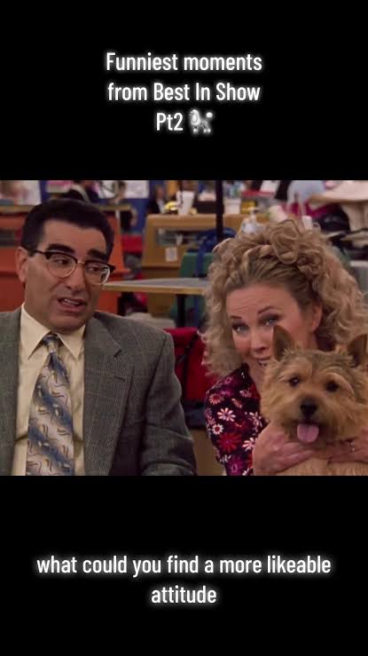 Hilarious moments from the cult classic movie Best In Show. Starring the  legendary cast of Catherin O’hara, Jennifer Coolidge, Eugene Levy,  Christopher Guest. Pt2 🐩 #bestinshow #catherineohara ...