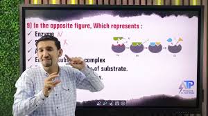 Exam 11.B 1st sec 1st term bio dr Peter Metias