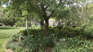 Or, our groves and gardens made beautiful by the naturalisation of hardy exotic plants. What S On In Yass Valley Yass Tribune Yass Nsw