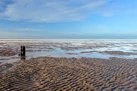 Select from premium wattenmeer nordsee of the highest quality. Nordsee Weltnaturerbe Wattenmeer An Der Nordseekuste