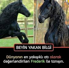 Dilara Can Adli Kullanicinin Komik Seyler Panosundaki Pin 2020 Komik Seyler Komik Alintilar Ikizler Burcu