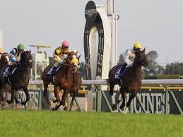 Nov 25, 2007 · 10 r 第27回ジャパンカップ(g1) 芝左2400m / 天候 : ã‚¸ãƒ£ãƒ'ãƒ³ã‚«ãƒƒãƒ— ã‚­ã‚»ã‚­ãŒãƒžã‚¤ãƒšãƒ¼ã‚¹ã«æŒã¡è¾¼ã¿ç²˜ã‚‹ æƒœã—ã„2ç€ ç«¶é¦¬ãƒ‹ãƒ¥ãƒ¼ã‚¹ãªã‚‰ ç«¶é¦¬ã®ãŠã¯ãªã—