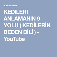 Kedileri Anlamanin 9 Yolu Kedilerin Beden Dili Youtube Youtube Kedi Dil