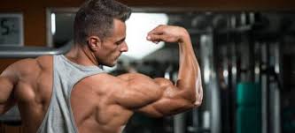 the 6 best triceps workouts for bigger