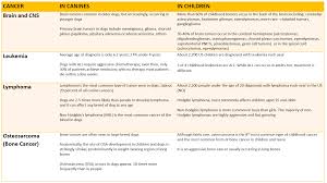 What if there was a support network that helped people affected by cancer live longer, have a better quality of life? Cancers Common To Kids And Dogs Canines N Kids Foundation