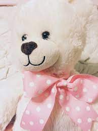 Alittlemissprettyinpink Teddy Teddy Bear Bear Plush