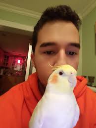 Harmonize introduces his new girlfriend Auntie Molly