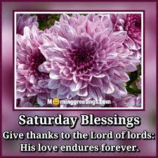 There is nothing to worry about on this perfect saturday morning. 30 Amazing Saturday Morning Blessings Morning Greetings Morning Quotes And Wishes Images