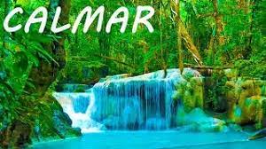 We did not find results for: Musica Relajante 24 7 Calmar La Mente 6 Relajacion Y Dormir Youtube