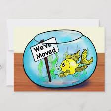 We Ve Moved Funny Cute Goldfish Fish Tank Cartoon Announcement Zazzle Com In 2020 New Home Cards Cards Moving Cards