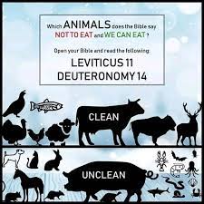 What's did God says about eating unclean animals,,,,, should we listen to  God almighty that created it,,,,,are should we listen to men ,,,,,,,  seriously questions | Facebook