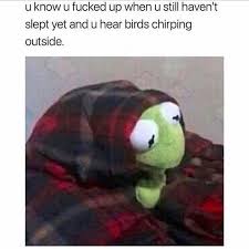 Birds Outside My Window Meme Pin On Funny Memes