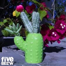 Ad by raging bull, llc. Five Below New Cactus Grow Kit Facebook