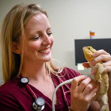 TOP 10 BEST Pet Dental Extraction in Melbourne, FL