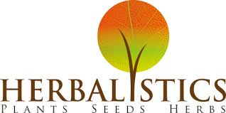 When i repot something or plant something that is a succulent or cactus, i plant it at the same level, or raised up a bit as when i got it (usually i raise it up. Takeaway Tek How To Germinate Cacti Seeds Herbalistics