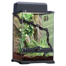 Exo Terra Rainforest Reptile Glass Terrarium Kit Small Rainforest Terrarium Kit Includes A 12 L X Terrariums Kits Diy Succulent Terrarium Reptile Terrarium