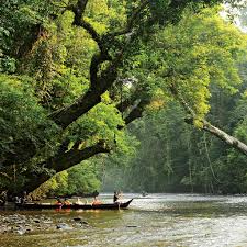 It was established in 1938/1939 as the king george v national park after theodore hubback lobbied the sultans of pahang, terengganu and kelantan to set aside a piece of land that covers the three states for the creation of a protected area. Five Best Things To Do At Taman Negara National Park Borneotalk