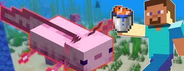 Check spelling or type a new query. Minecraft Axolotl Zahmen Futter Und Nutzen