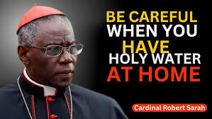 The Role of the Laity (Lay faithful) in the Church