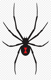 Female black widow spider (latrodectus mactans), north america. Black Widow Spider Svg Hd Png Download Vhv