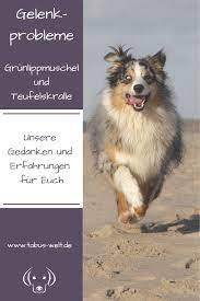 gelenkerkrankungen beim hund wir durften testen werbung gesunde hunde hunde naturheilkunde