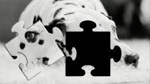 I have a jigsaw puzzle i picked up in a car boot sale about 40 years ago for a couple of ££. World S Most Difficult Jigsaw Puzzle Youtube