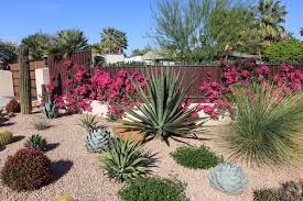 Desert landscape designmodern desert landscape design. Desert Landscape Design Tips To Transform Your Backyard Milestone