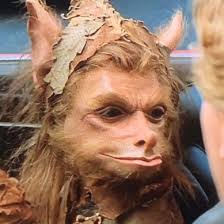 Dylan Minton (@minton_dylan)