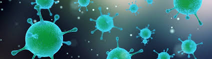 Si dice che i batteri occupino l'ampio dominio della cellula procariotica, mentre il virus è noto come agente che causa infezione minore. Infezione Batterica E Infezione Virale Quali Sono Le Differenze Centro Medico I Mulini