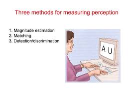 Perception Lecture Notes Psychophysics