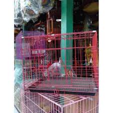 Penghantaran sangkar kucing ke johor bahru boleh dibuat. Sangkar Kucing Harga Terbaru Juni 2021 Blibli