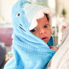 Nicole Renee Designs