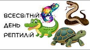 https://encrypted-tbn0.gstatic.com/images?q=tbn:ANd9GcRivA-z5uorJaT8MDZnwOYAi_anGNGq9NePQZvHbt576Q&s