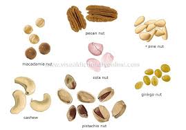 Dry Fruits Often Called Nuts These Fruits Usually Have A Hard Dry Covering Called The Shell That Encloses An Edible Kernel Dried Fruit Fruit Dry Fruits List