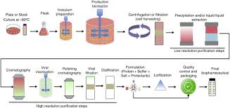 Research, including molecular modeling, gene manipulation, development of diagnostics and. Biopharmaceuticals From Microorganisms From Production To Purification Sciencedirect