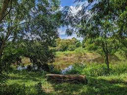 Upper seletar reservoir was formerly known as the seletar reservoir, before the completion of the lower seletar reservoir near nee soon, formed by the damming up of the mouth of seletar river, in 1986. Be Surprised By This Sprawling Green Space In The Heart Of Tampines