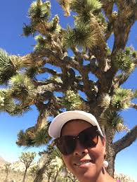 Joshua Tree last week. Finished our hike by 930am