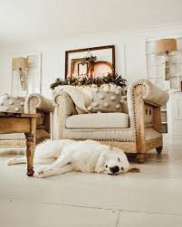Holiday Pet Photo By Lizmariegalvan From Instagram Painted Fox Home Tufted Chair Deconstructed Chair