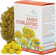 Image result for Helichrysum nitens