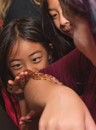 Family Science & Astronomy Festival + Makerspace