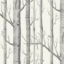 Un choix unique de papier peint noir et blanc disponible dans notre magasin. Papier Peint Woods Avec Des Arbres Noirs
