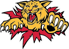 Conor garland (born march 11, 1996) is an american professional ice hockey winger currently playing with the arizona coyotes of the national hockey league (nhl). Moncton Wildcats Wikipedia