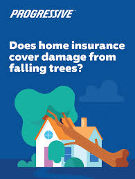 I am basically there to make money. Does Home Insurance Cover Damage From Falling Trees Home Insurance Progressive Insurance Financial Tips