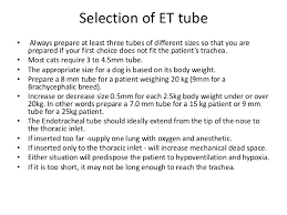 Endotracheal Intubation In Pets