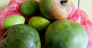 Dari berbagai jenis mangga yang telah dituliskan di atas, masih banyak jenis mangga yang masih belum disebutkan. Kenali Nama Dan Jenis Buah Mangga