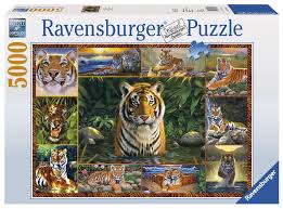 Check spelling or type a new query. Ravensburger Tiger 5000 Piece Puzzle Amazon Com Au Toys Games